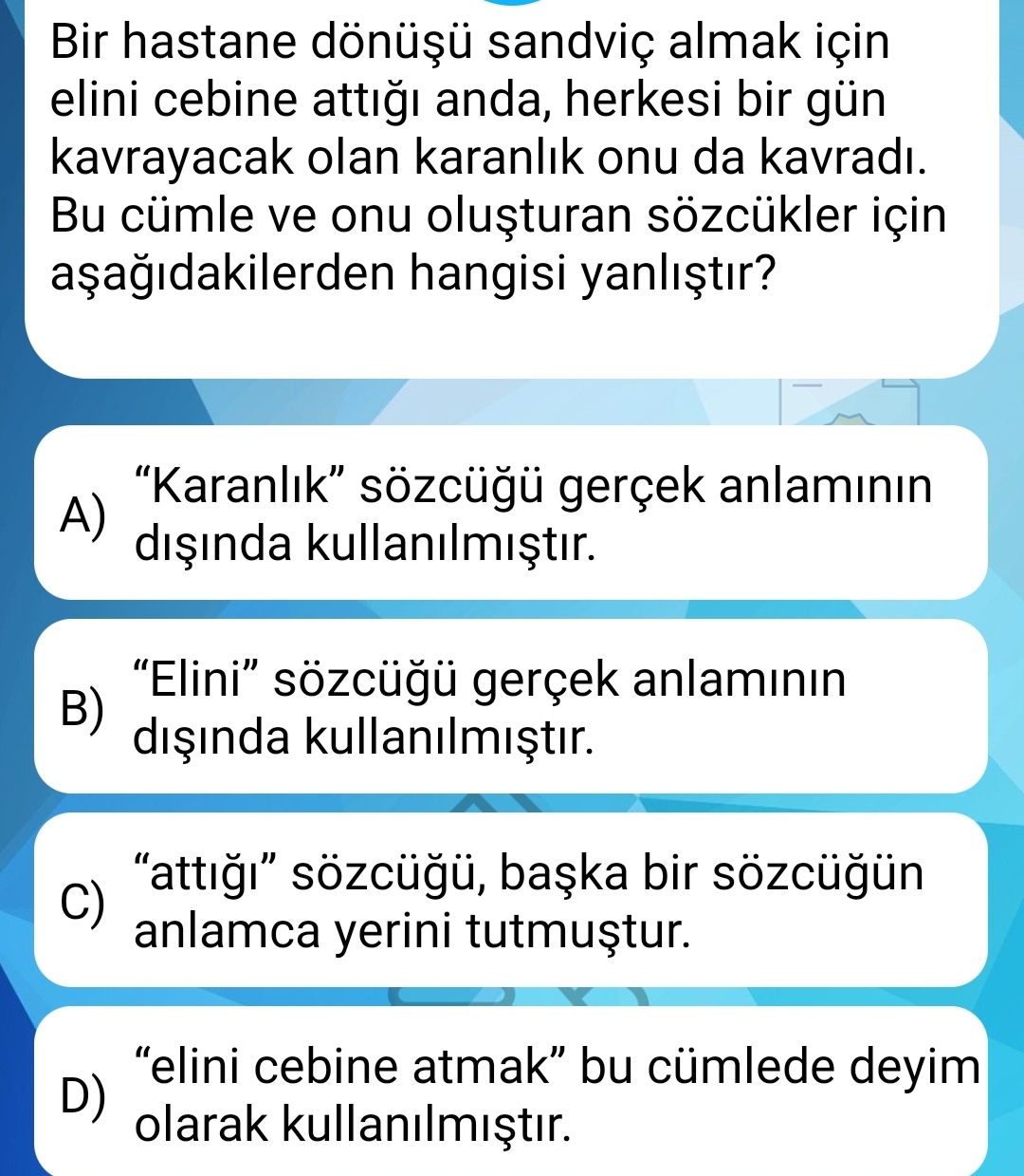 Soru Görseli